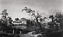 1745-Veduta di Padova con il Brenta.(di Giovanni Antonio Canal) (Adriano Danieli)
